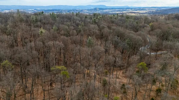 a view of a city and lush green forest