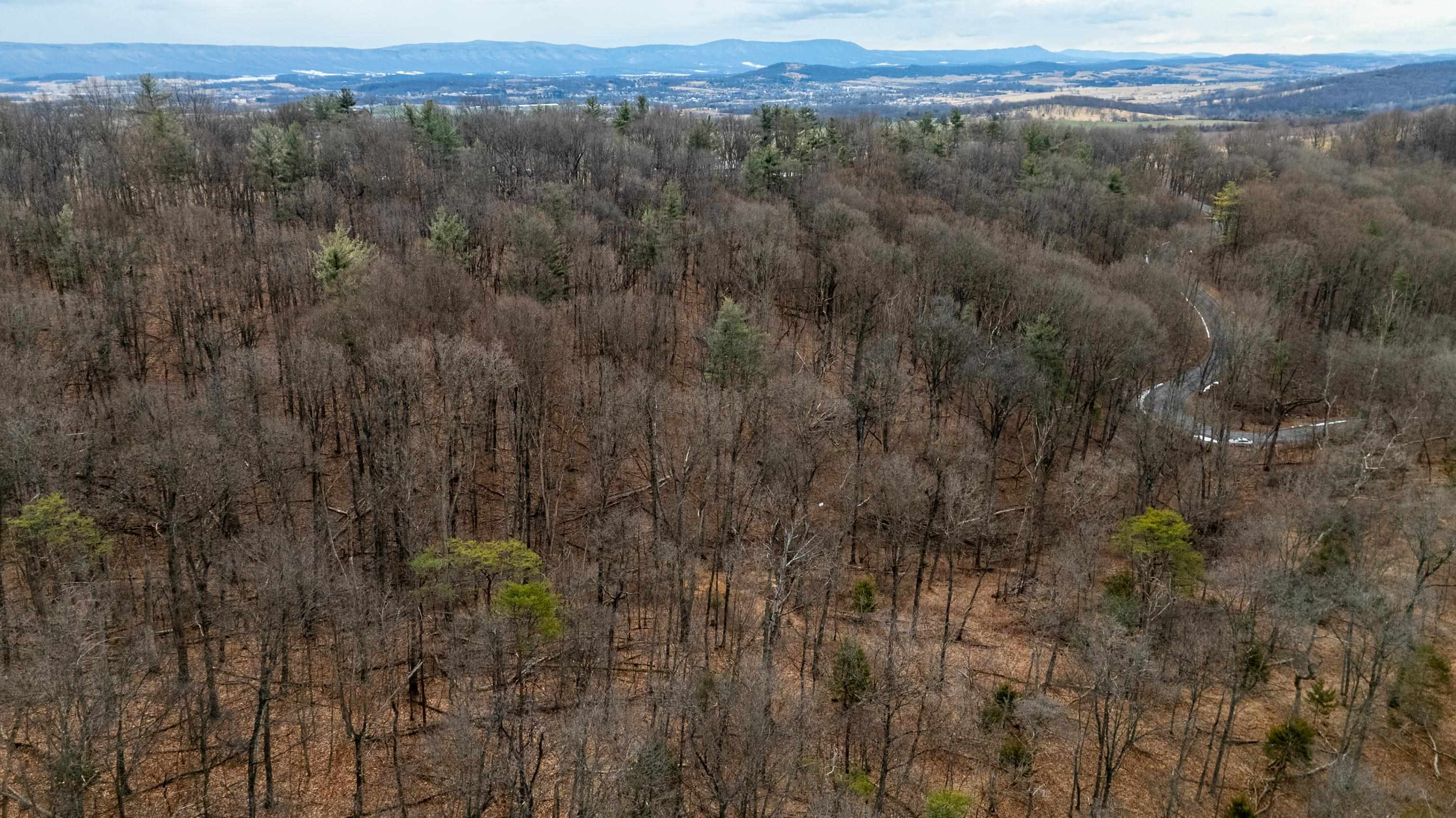 a view of a city and lush green forest