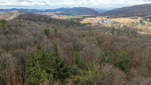 a view of a yard with trees in the background