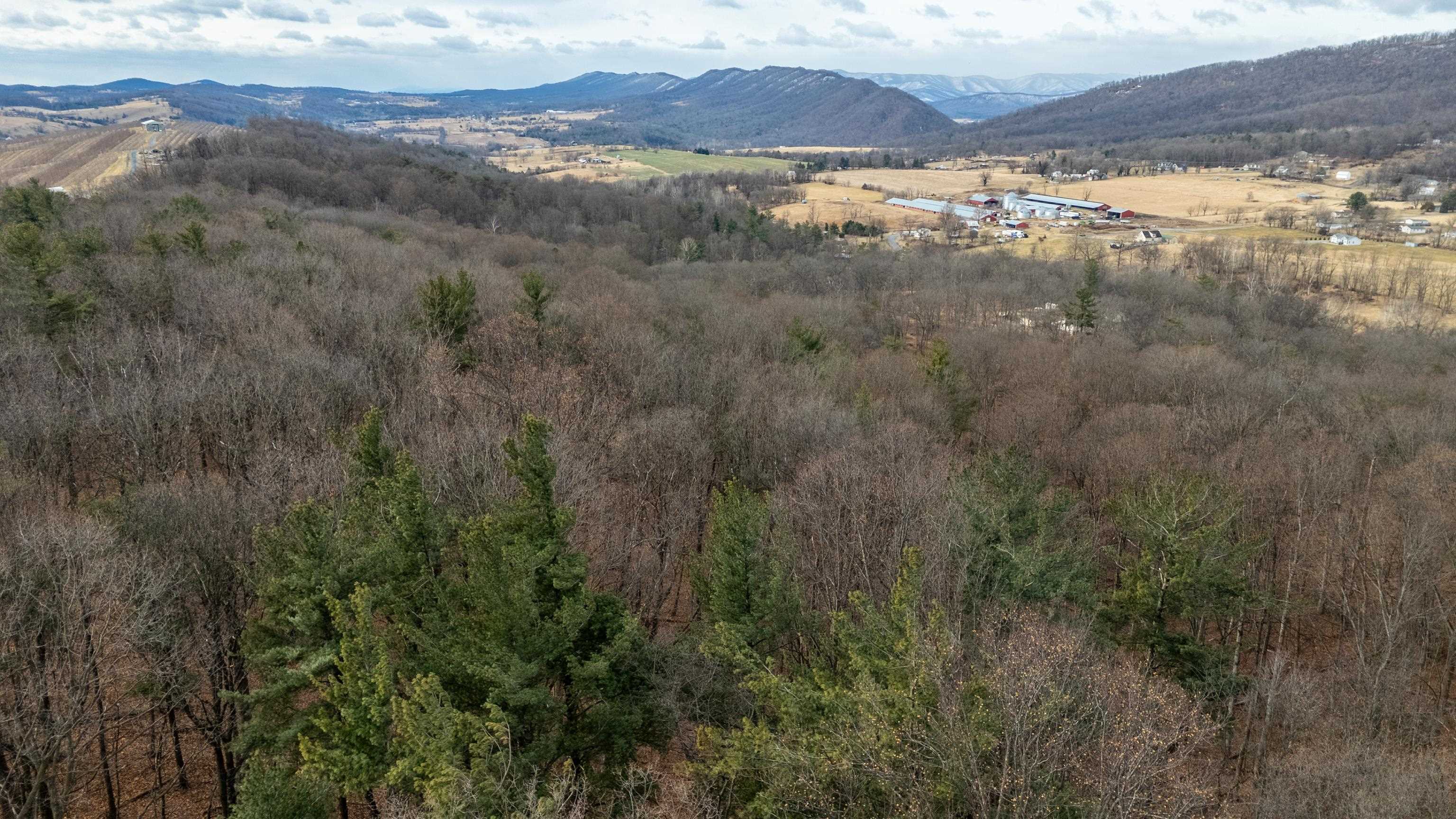 0 Vetters Road Broadway, VA 22815 - Photo 12 of 30 a view of lake with mountain