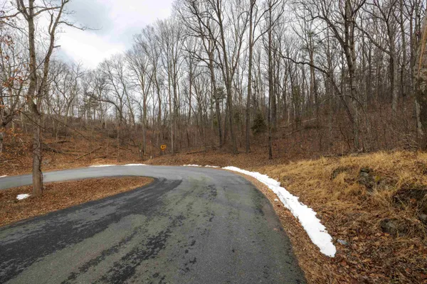 a view of backyard with green space