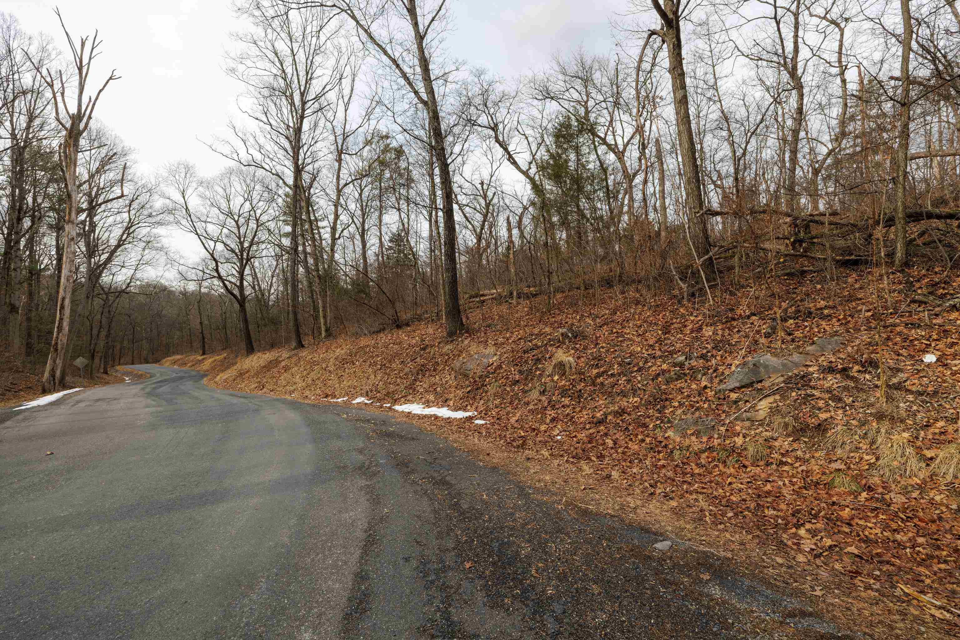 0 Vetters Road Broadway, VA 22815 - Photo 14 of 30 a view of a yard with trees in the background