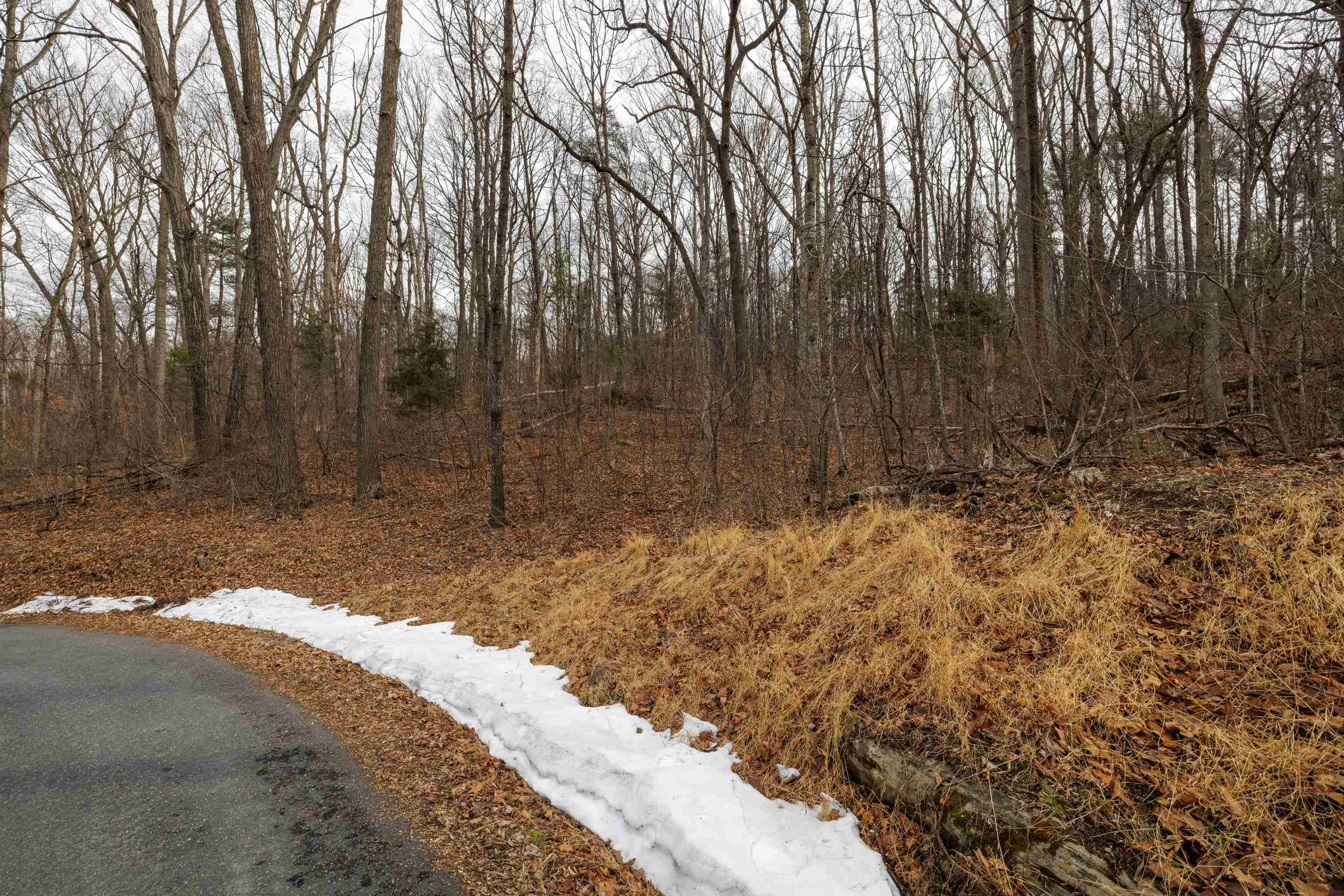0 Vetters Road Broadway, VA 22815 - Photo 15 of 30 a view of backyard with green space