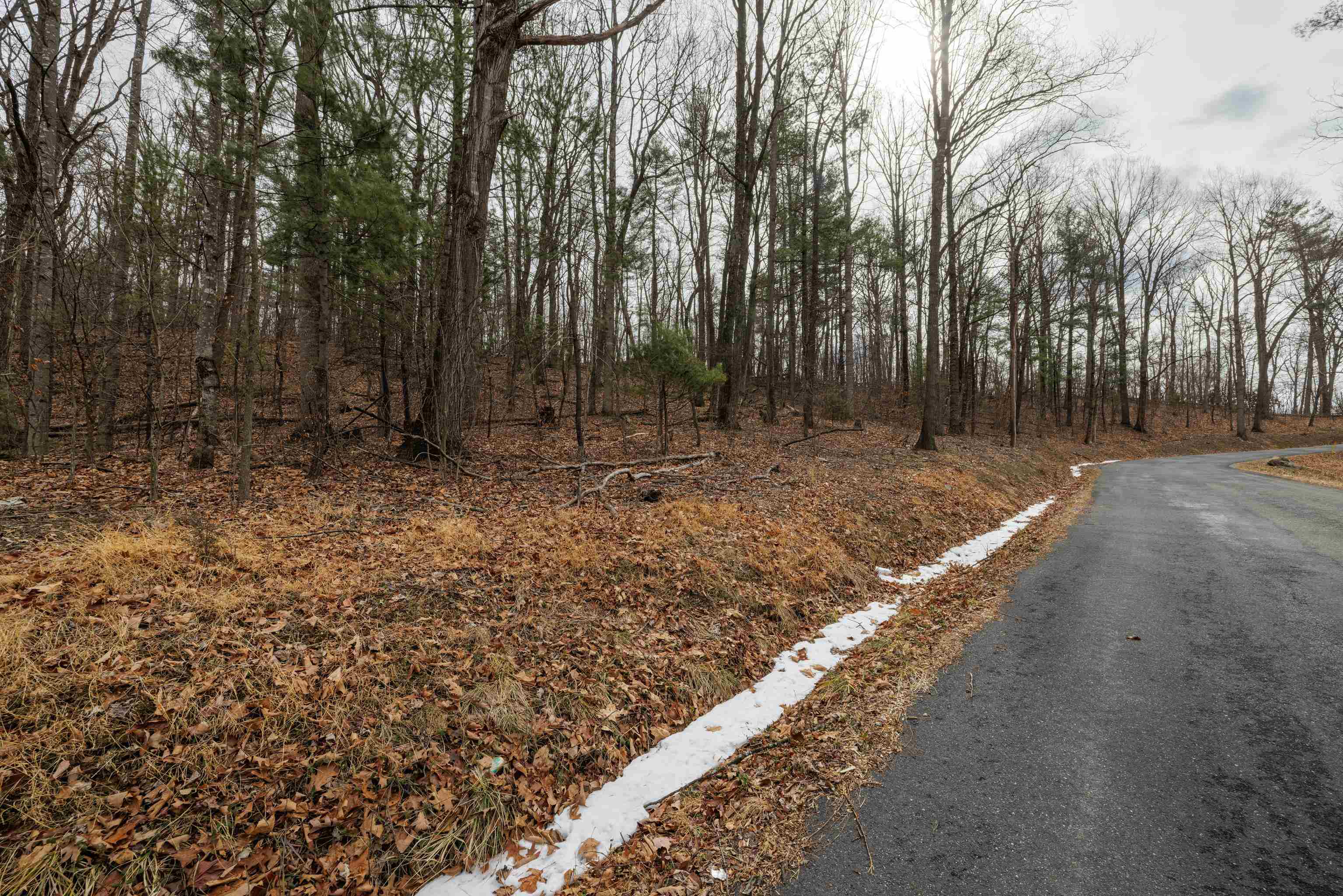 0 Vetters Road Broadway, VA 22815 - Photo 16 of 30 a backyard of a house with lots of green space