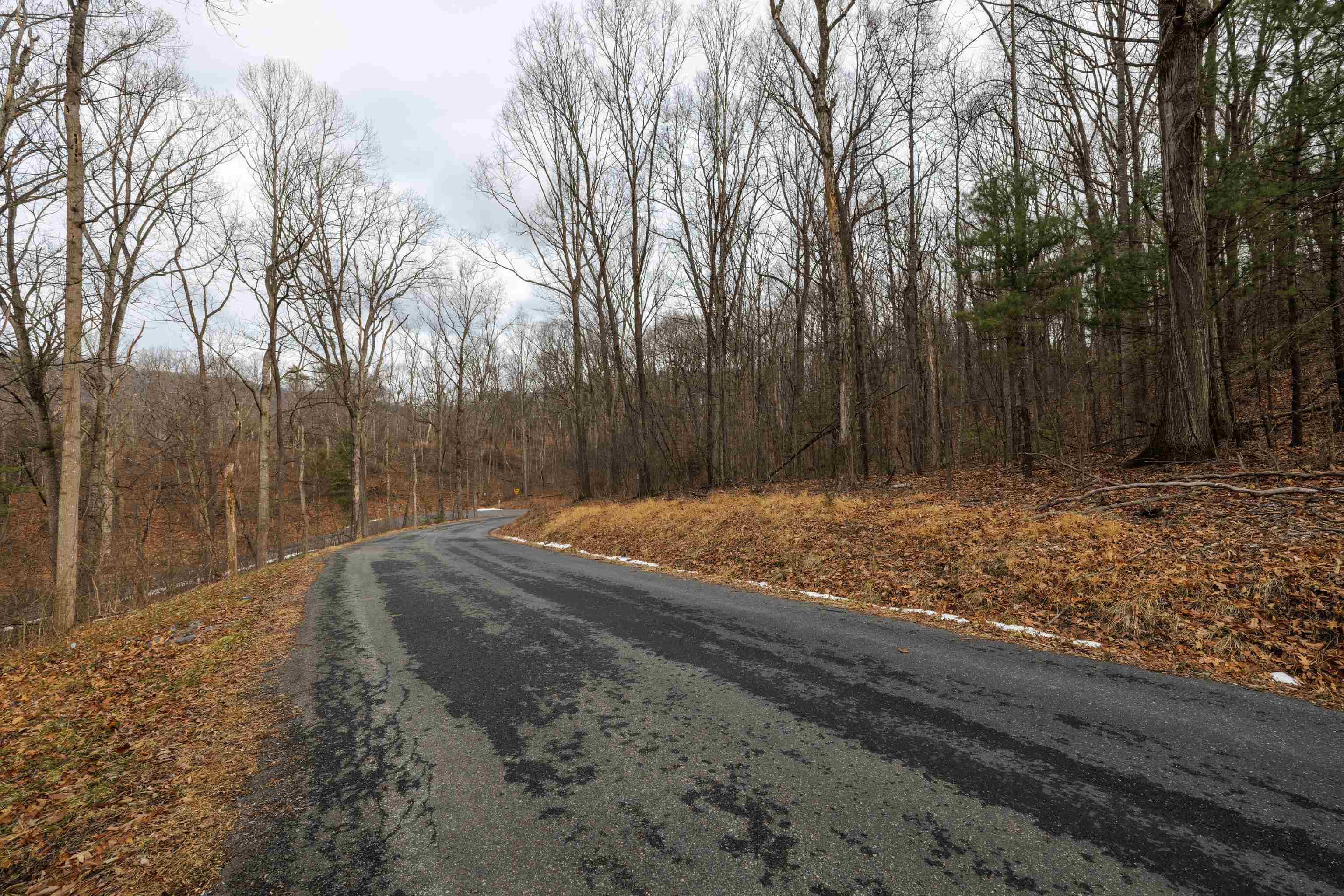 0 Vetters Road Broadway, VA 22815 - Photo 17 of 30 a backyard of a house with large trees
