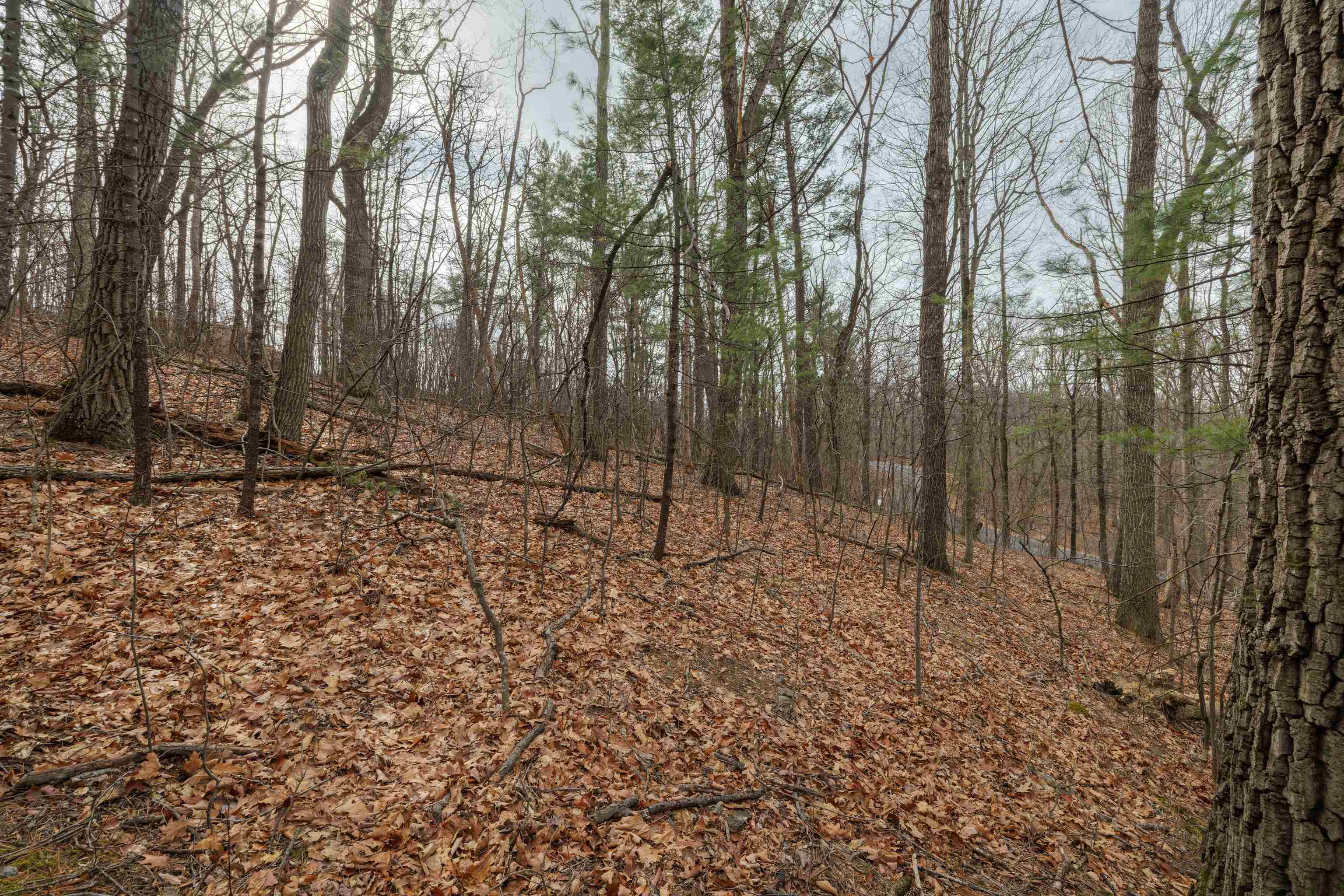 0 Vetters Road Broadway, VA 22815 - Photo 20 of 30 a backyard of a house with lots of green space