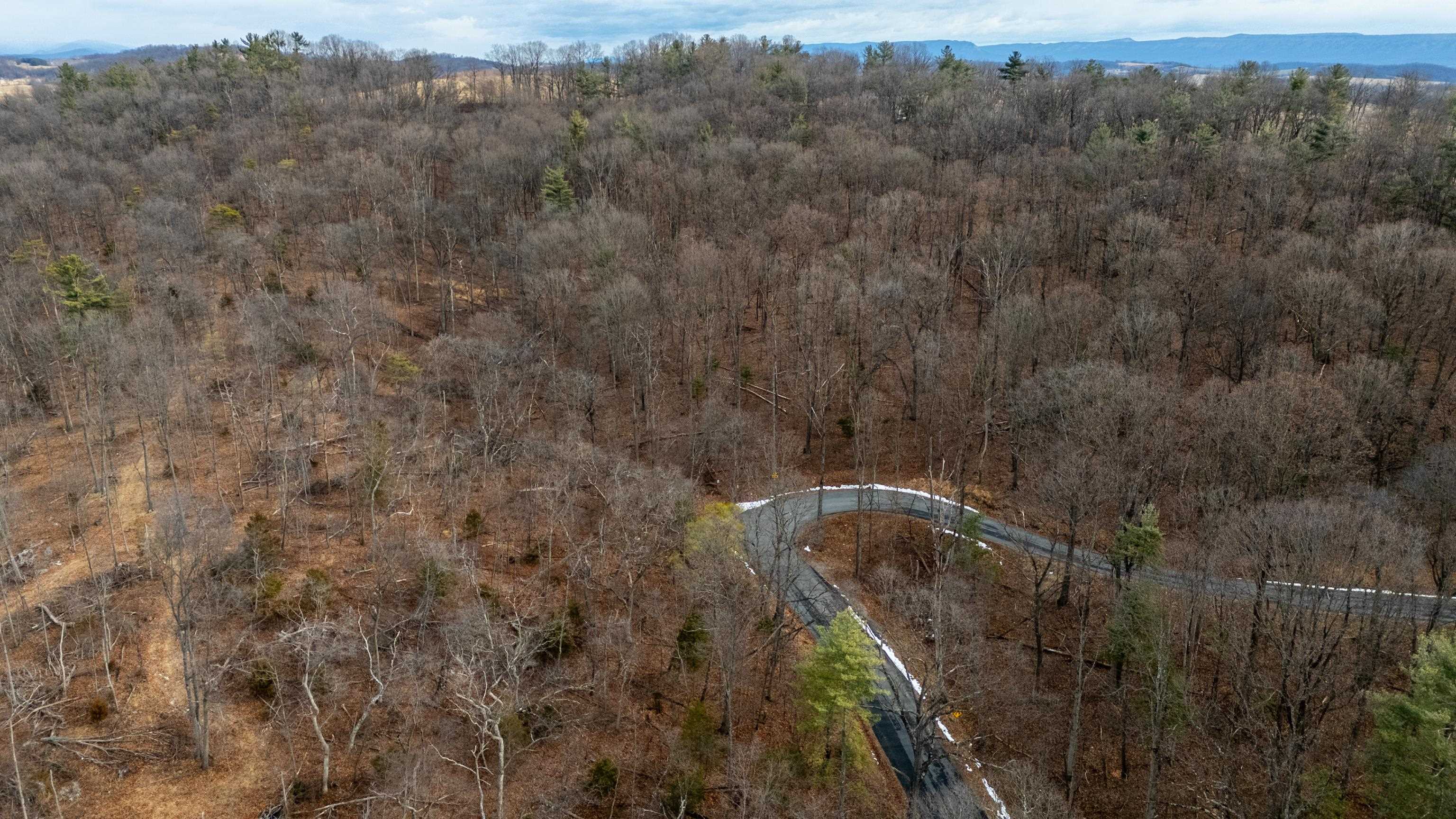 0 Vetters Road Broadway, VA 22815 - Photo 28 of 30