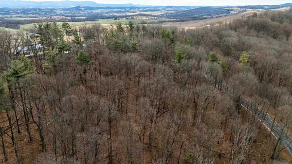 a view of a lake with a mountain and trees