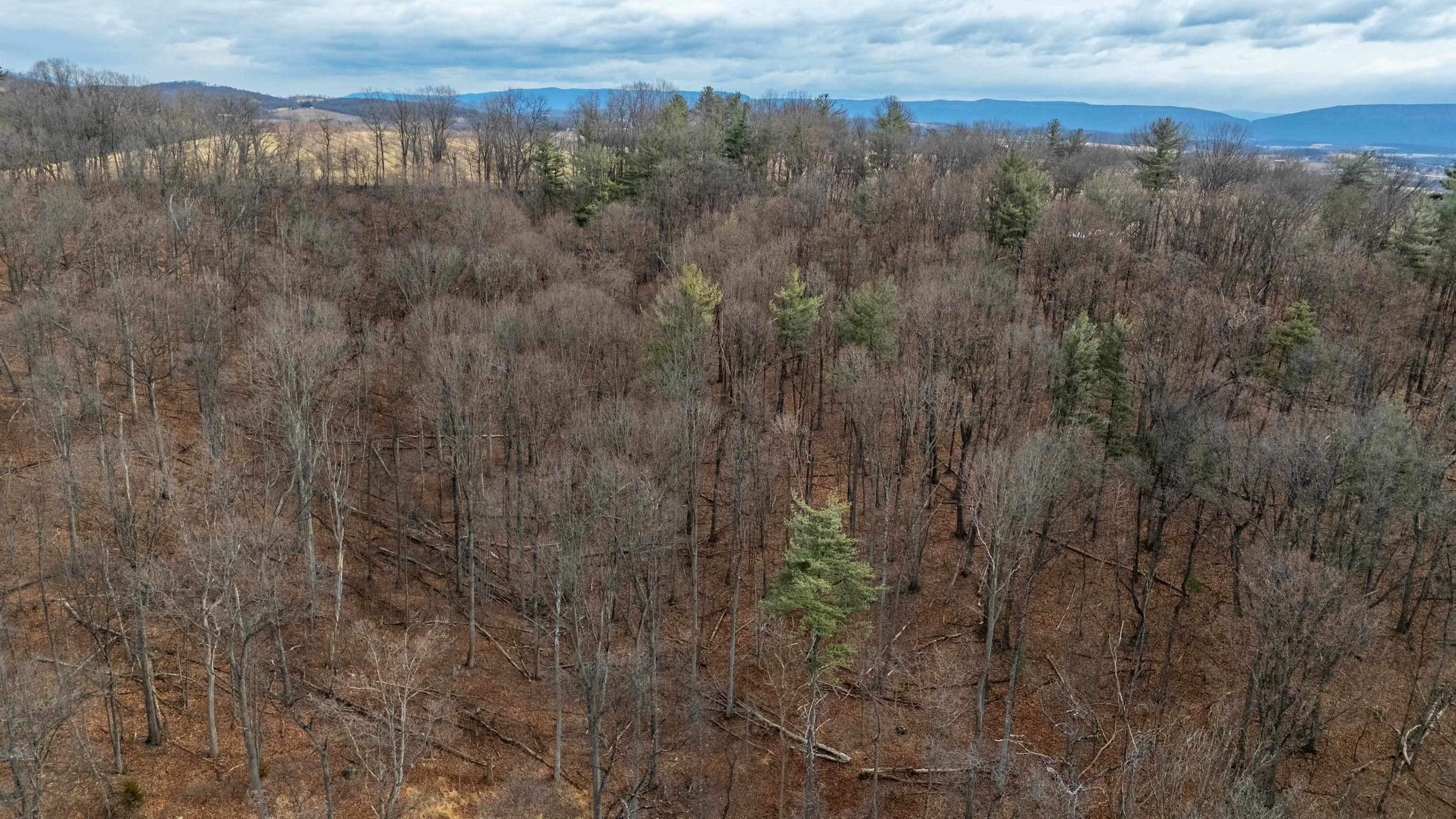 0 Vetters Road Broadway, VA 22815 - Photo 7 of 30 a view of a yard and mountain view