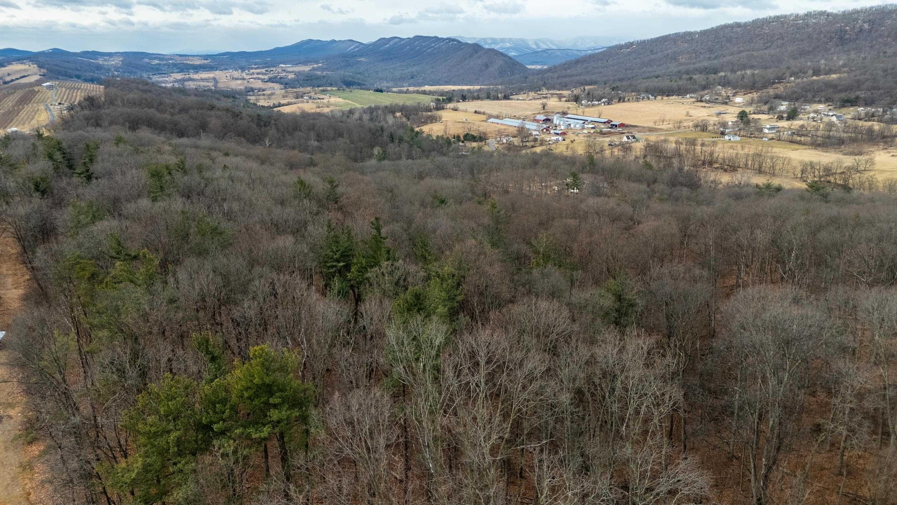 0 Vetters Road Broadway, VA 22815 - Photo 9 of 30 a view of city and mountain
