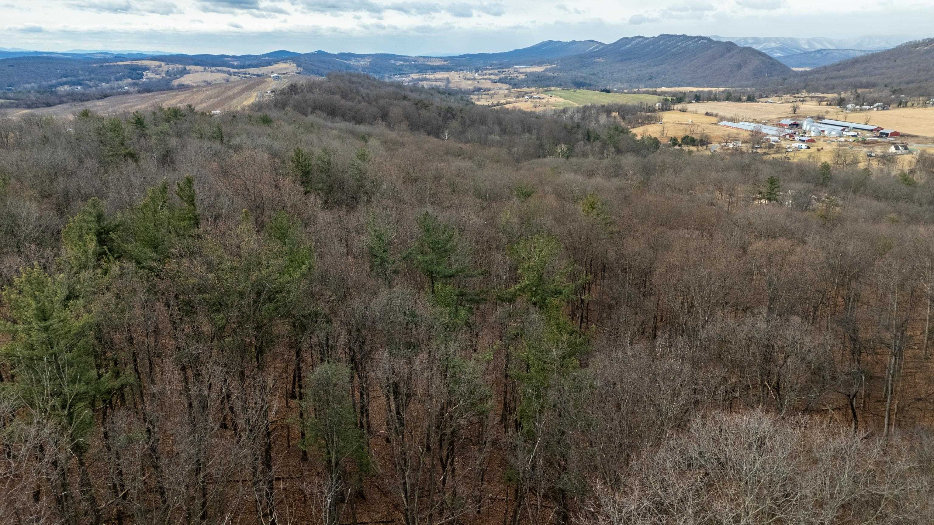 0 Vetters Road Broadway, VA 22815 - Photo 10 of 30 a view of lake with mountain