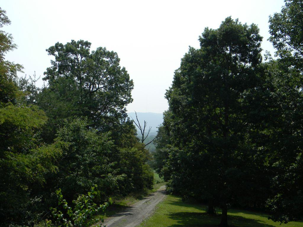 5889 Quarterwood Road Thaxton, VA 24174 - Photo 24 of 25 View from Deck