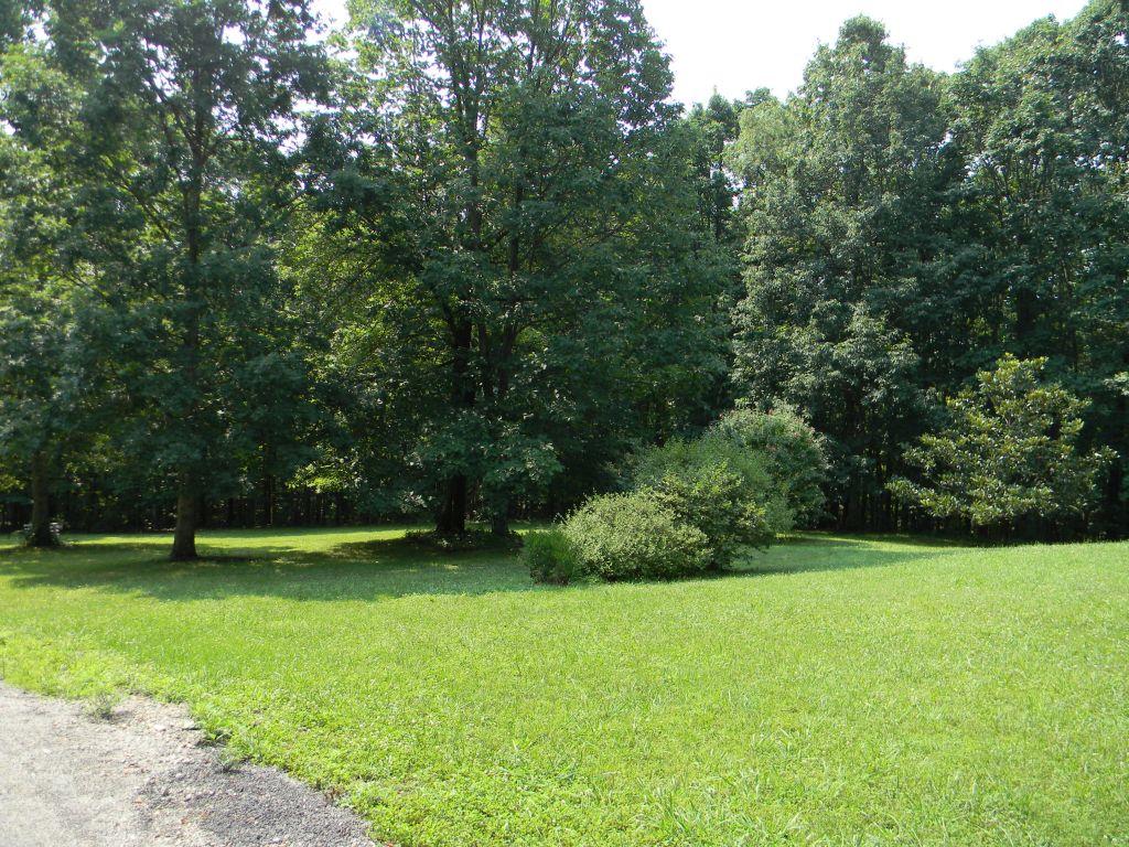 5889 Quarterwood Road Thaxton, VA 24174 - Photo 4 of 25 Front Yard