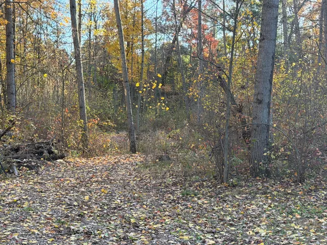 $75,000 | V/l Maple Hill Road, Unit PARCEL C, Howard City, MI 49329