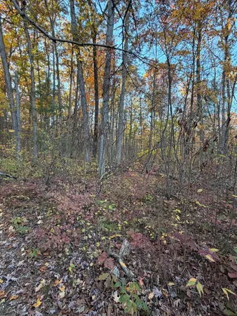 $75,000 | V/l Maple Hill Road, Unit PARCEL C, Howard City, MI 49329