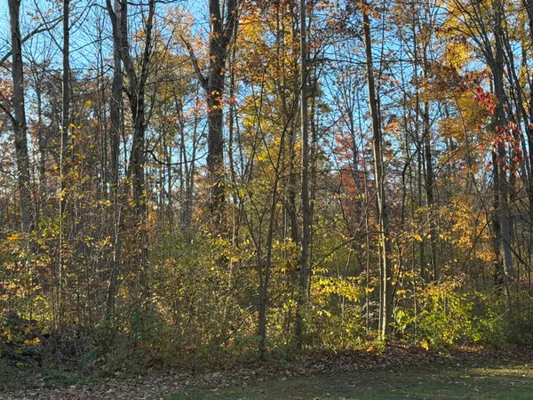 $75,000 | V/l Maple Hill Road, Unit PARCEL C, Howard City, MI 49329