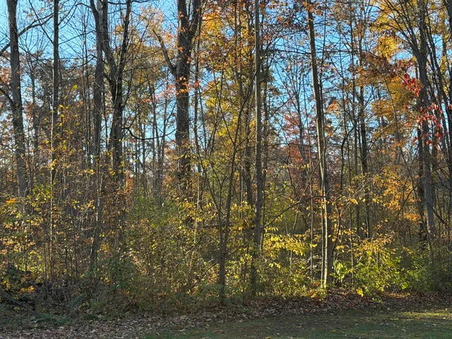 $75,000 | V/l Maple Hill Road, Unit PARCEL C, Howard City, MI 49329