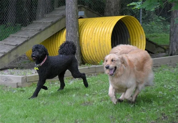 a view of wooden door