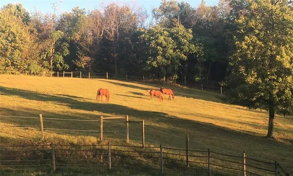 a view of a tennis court