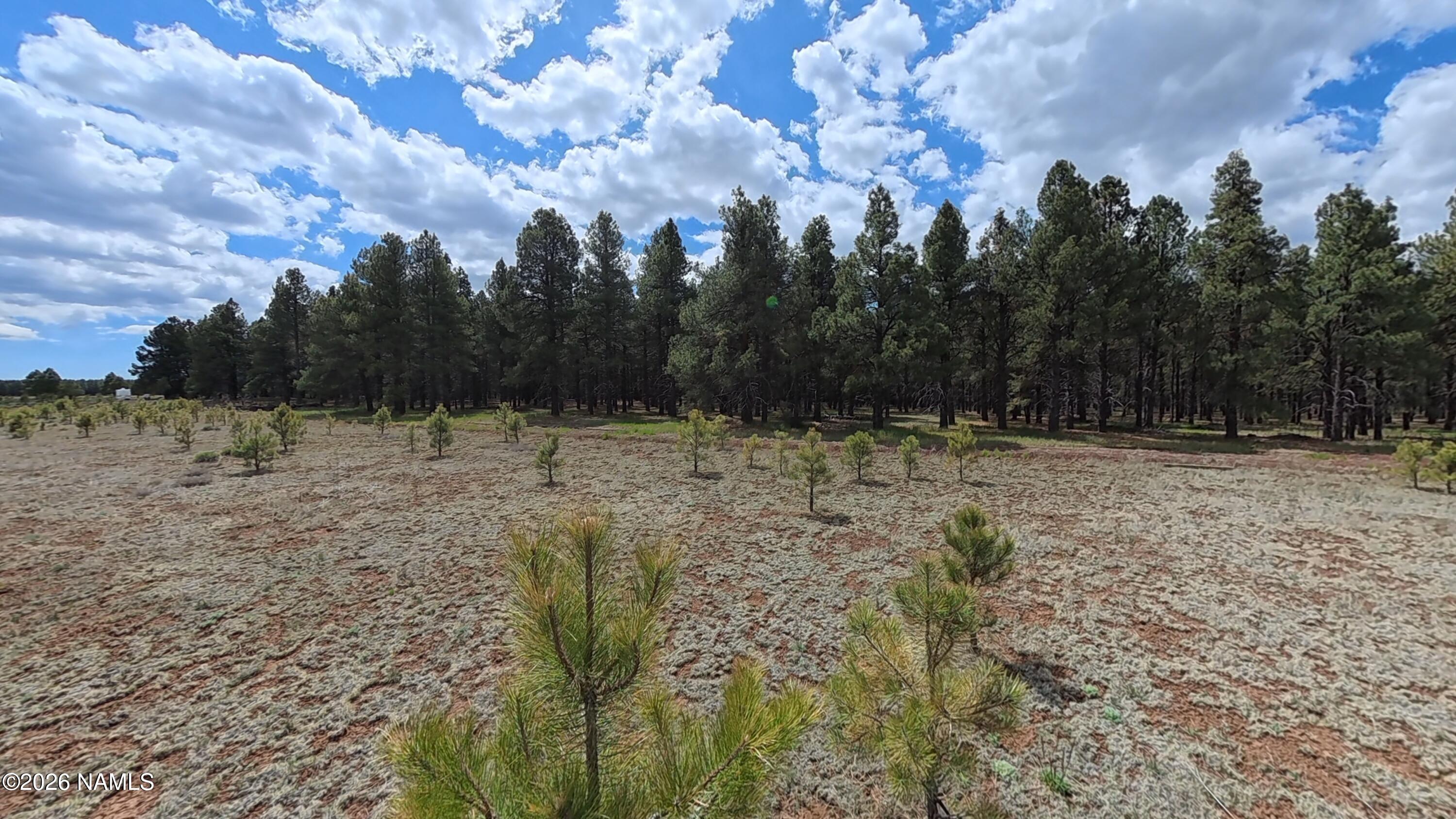 12565 Camp Kimball Road Parks, AZ 86005 - Photo 13 of 60 VID_20260501_104738_00_193_2026-05-04_11