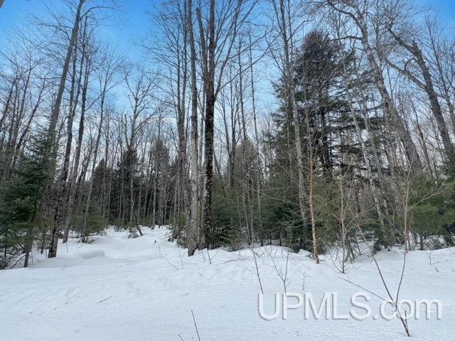 Lot 7 West Tamarack Lake Road Watersmeet, MI 49969 - Photo 8 of 11