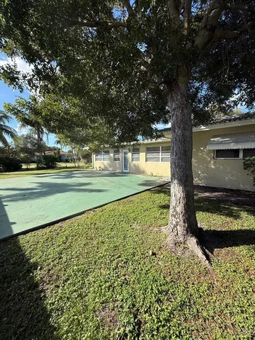 a view of a yard with a large tree