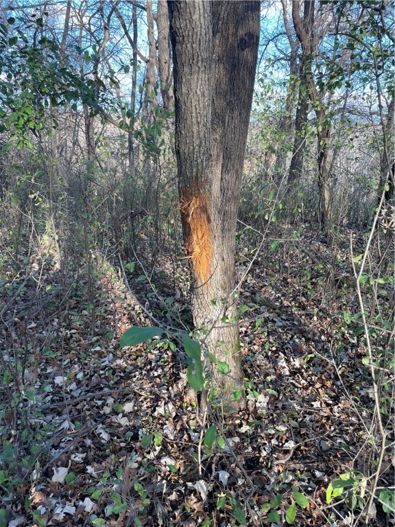 0 South Lowes Creek Road Eau Claire, WI 54701 - Photo 15 of 59