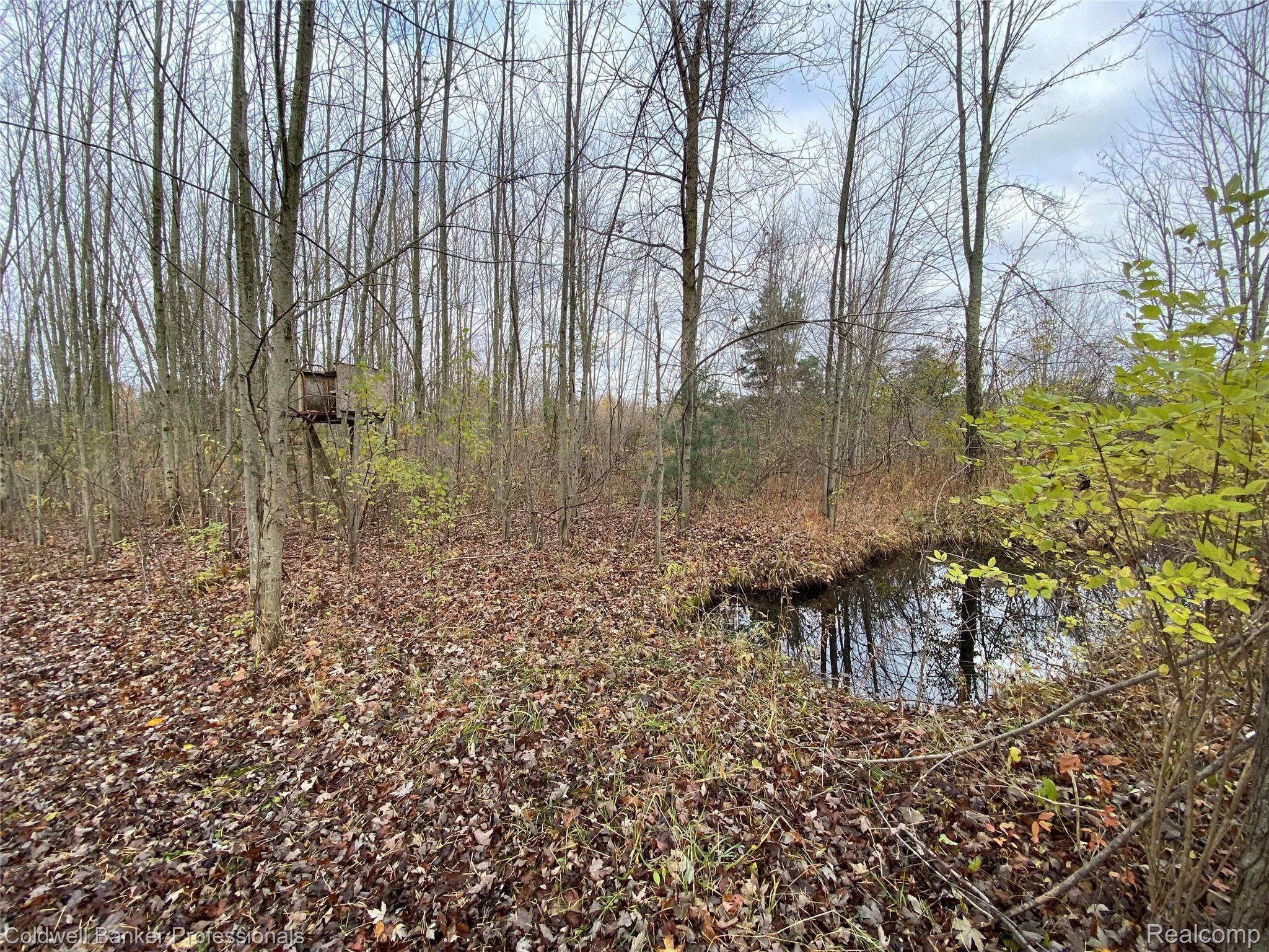 3093 South Vassar Road Davison, MI 48423 - Photo 27 of 29 69D7EA8B-C70F-4FA8-BB58-2BB34F7AD540.jpeg