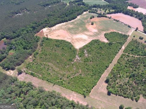 0 Ben Hadden Road Stapleton, GA 30823 - Photo 6 of 8