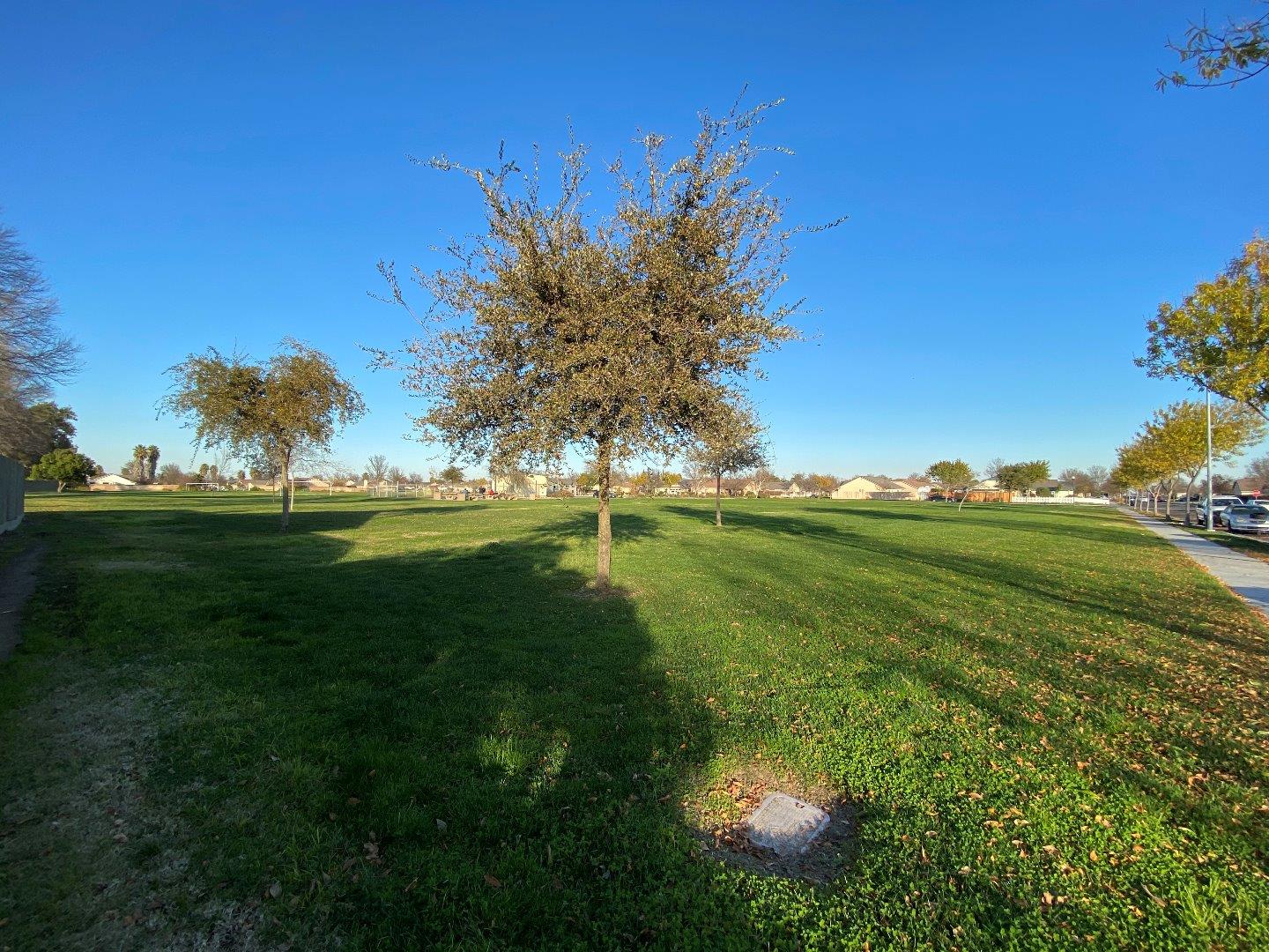 1431 Cardinal Street Los Banos, CA 93635 - Photo 10 of 10 a view of a golf course with a lake view