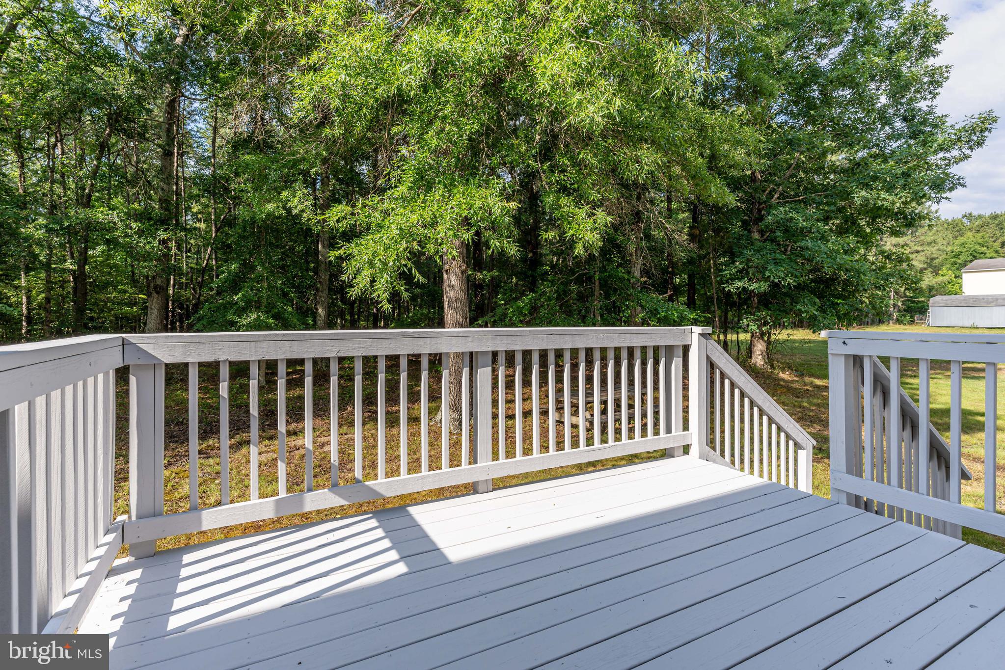 7307 Sanchez Road Richmond, VA 23234 - Photo 6 of 40