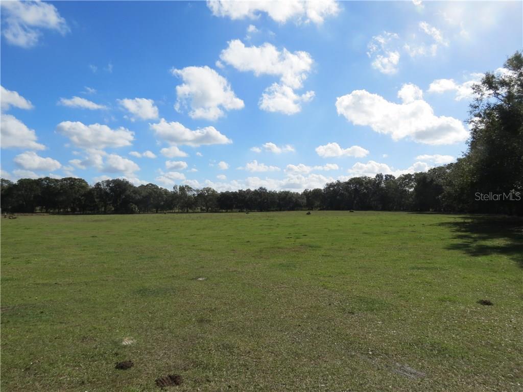 0 East Keysville Road Lithia, FL 33547 - Photo 1 of 1