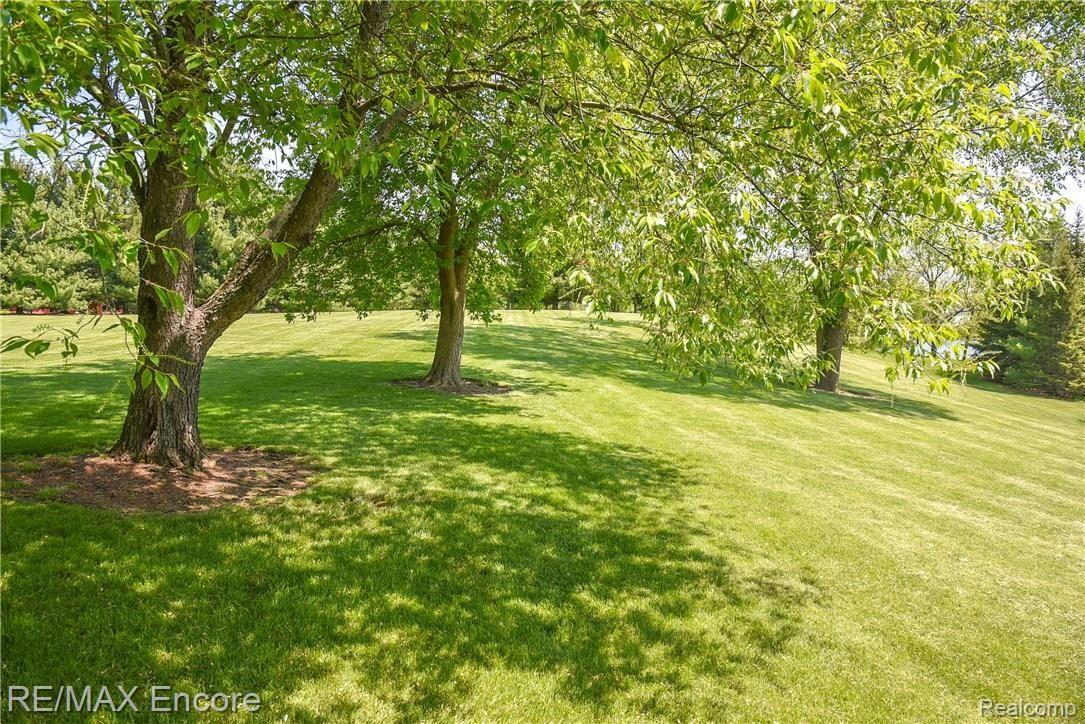 5845 Genesee Road Lapeer, MI 48446 - Photo 75 of 99 Outdoor areas offer choice of a place to sun or a spot to shade!
