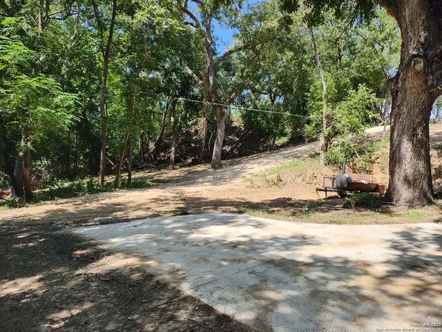 a view of a yard with a tree
