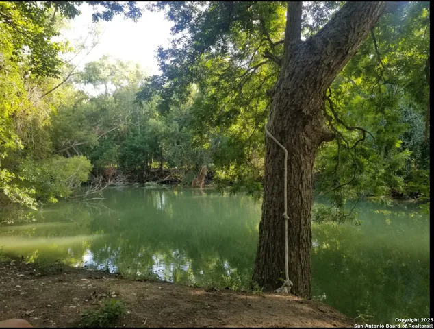 a view of a lake with a tree