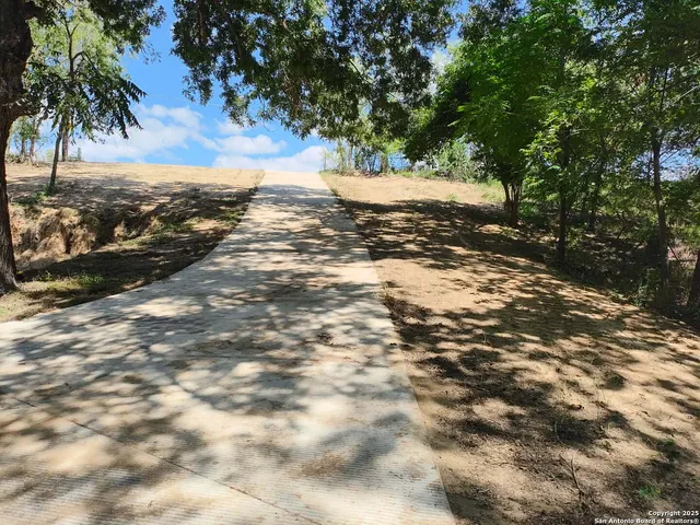 a view of a dirt yard with a large tree