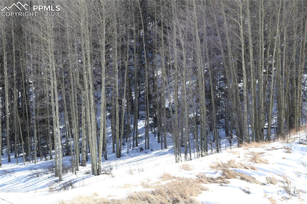 100 County Rd Lake Florissant, CO 80816 - Photo 2 of 7