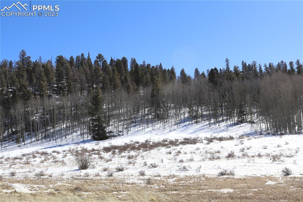 100 County Rd Lake Florissant, CO 80816 - Photo 4 of 7