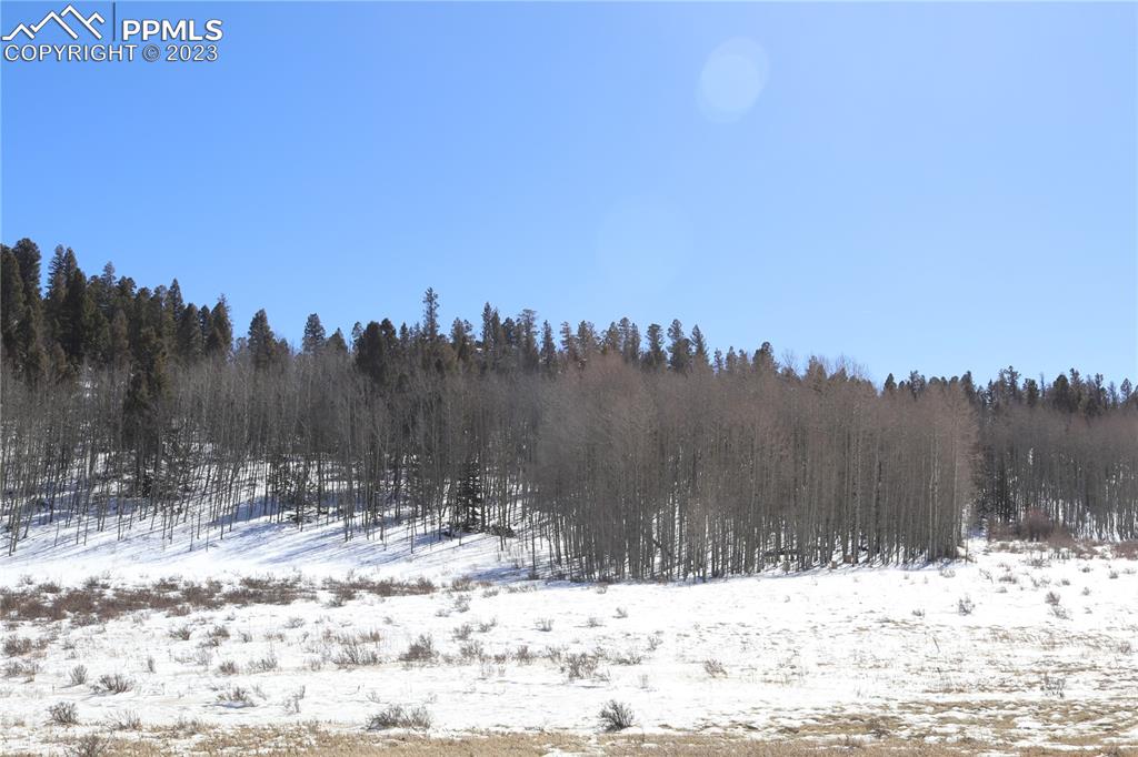 100 County Rd Lake Florissant, CO 80816 - Photo 5 of 7