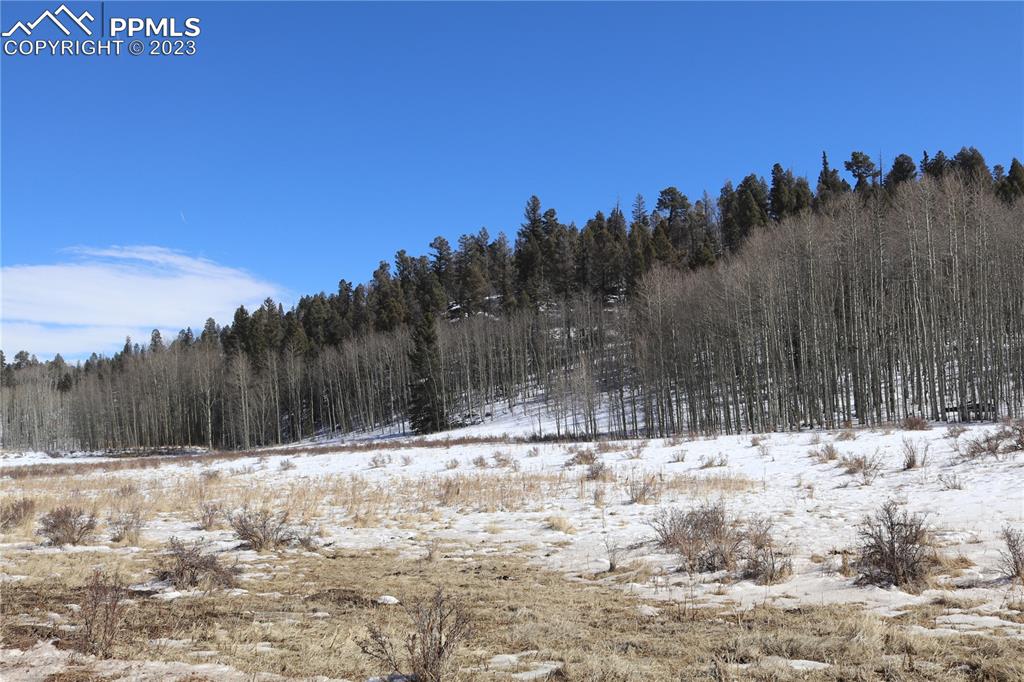 100 County Rd Lake Florissant, CO 80816 - Photo 6 of 7