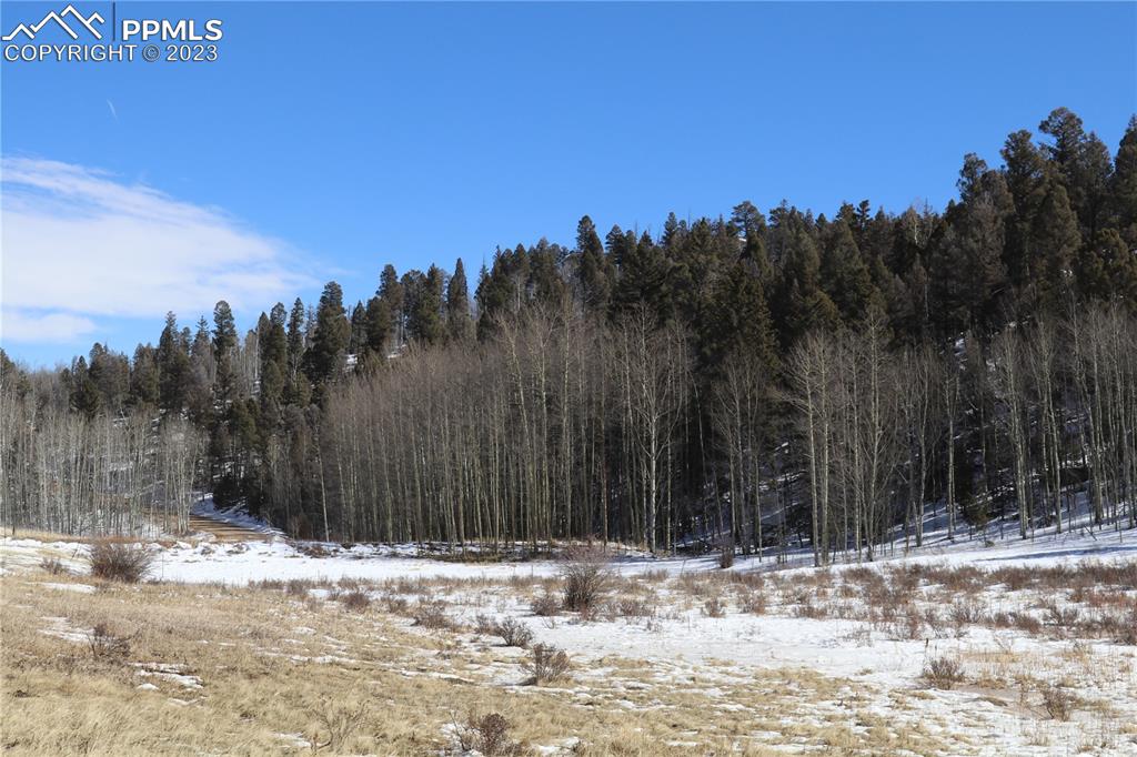 100 County Rd Lake Florissant, CO 80816 - Photo 7 of 7