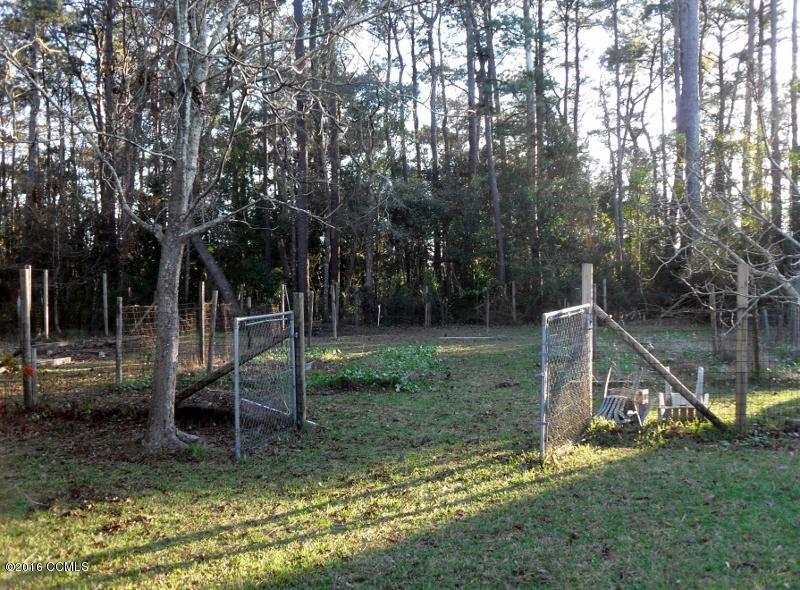 204 Shell Landing Road Beaufort, NC 28516 - Photo 8 of 18 Area for Gardening