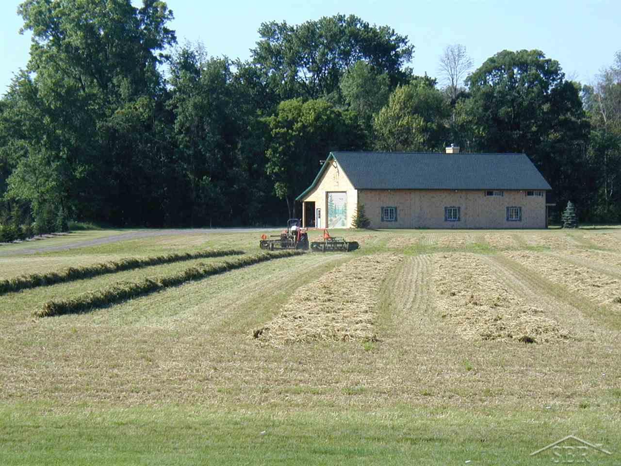 9710 Warnick Road Frankenmuth, MI 48734 - Photo 14 of 43 31387415-13.JPG
