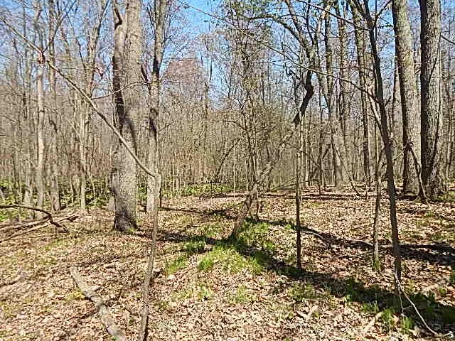 $550,000 | 9999 North N Drive South, Burlington, MI 49029