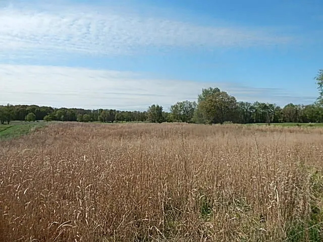 $550,000 | 9999 North N Drive South, Burlington, MI 49029