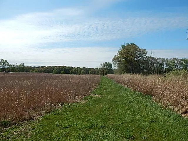 $550,000 | 9999 North N Drive South, Burlington, MI 49029