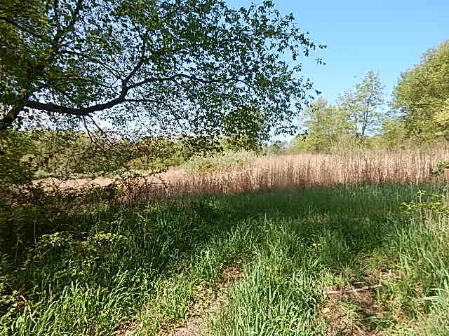 $550,000 | 9999 North N Drive South, Burlington, MI 49029