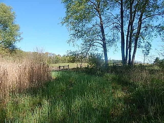 $550,000 | 9999 North N Drive South, Burlington, MI 49029