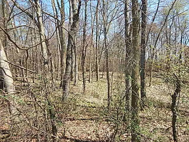 $550,000 | 9999 North N Drive South, Burlington, MI 49029