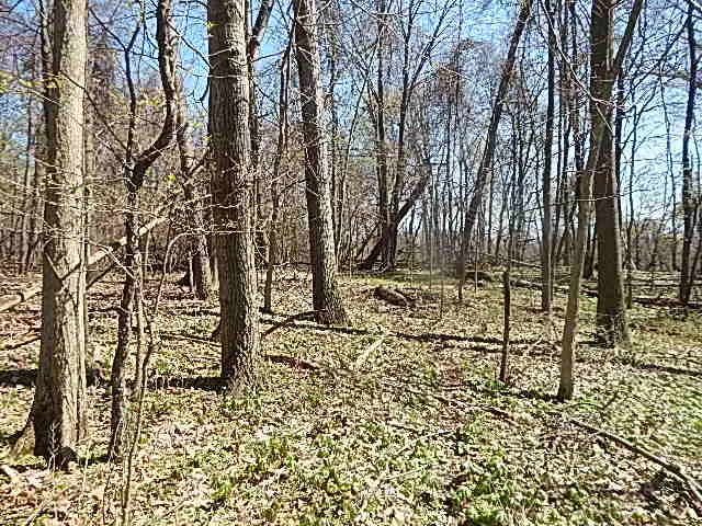 $550,000 | 9999 North N Drive South, Burlington, MI 49029